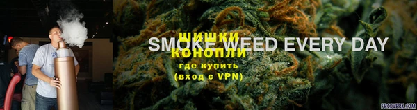 гидра Гусиноозёрск