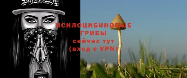 гидра Гусиноозёрск