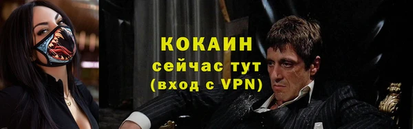 стаф Гусь-Хрустальный