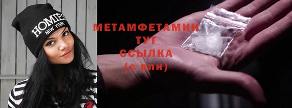 гидра Гусиноозёрск