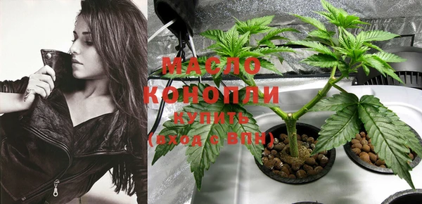 гидра Гусиноозёрск