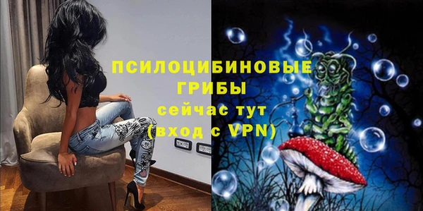 стаф Гусь-Хрустальный