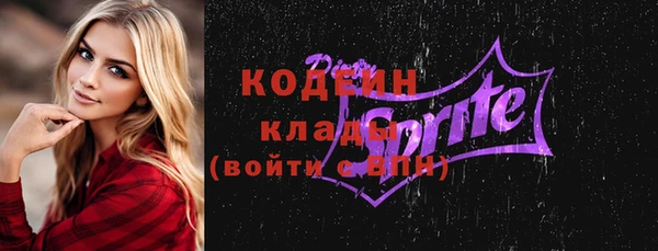 стаф Гусь-Хрустальный