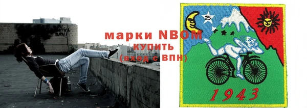 стаф Гусь-Хрустальный