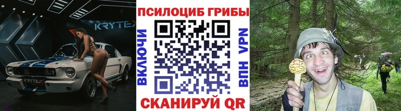что такое наркотик  Новомосковск  Псилоцибиновые грибы GOLDEN TEACHER 